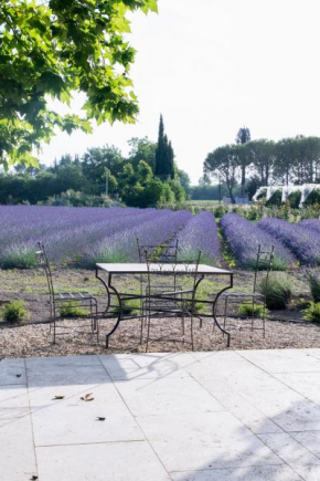 La Bastide des Lavandins